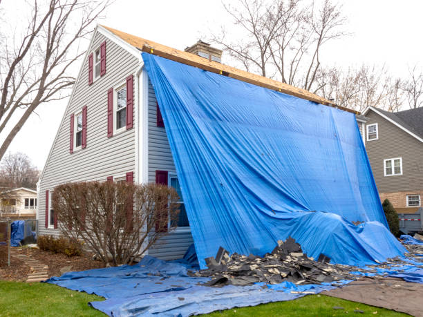 Best Brick Veneer Siding  in Ashland, WI