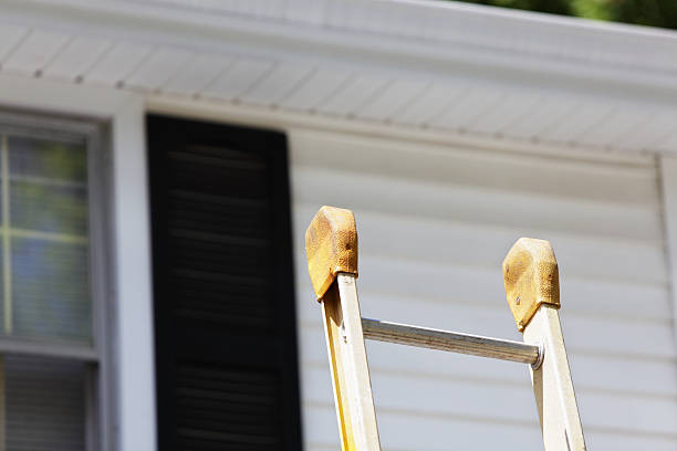 Best Wood Siding Installation  in Ashland, WI